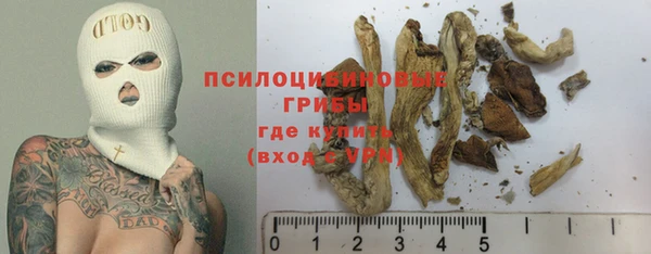 марки nbome Вяземский