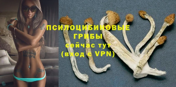 метадон Гусиноозёрск