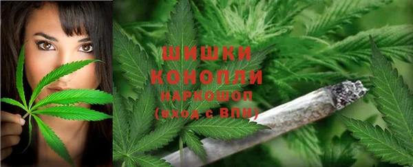 марки nbome Вяземский