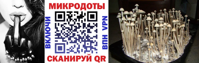 omg ONION  Жуковка  Галлюциногенные грибы ЛСД 